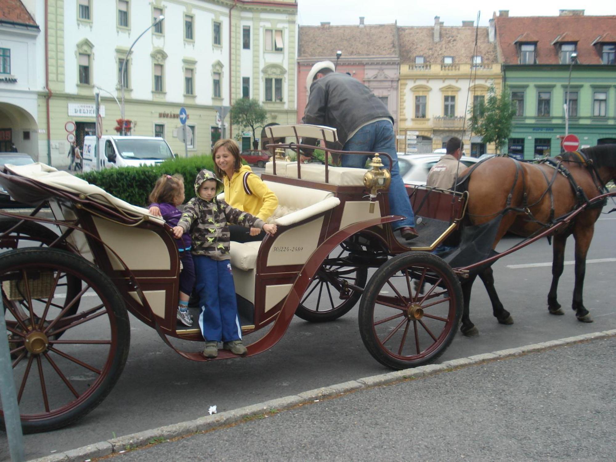 Zsófia Panzió Pápa Hotel Kültér fotó
